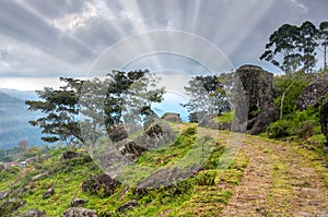 Light in the end of the road