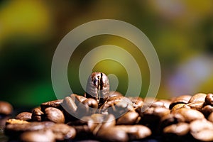 The light falls on the coffee beans. Coffee beans on the table