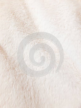 Light faux fur material. Warm, cozy, soft, fluffy. Background design, photography. Textile, fabric template, modern new