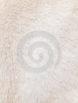 Light faux fur winter cloth. Warm, cozy, soft, fluffy. Background design, photography. Textile, fabric template, modern new