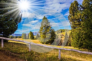 Light fence built along the pathl photo