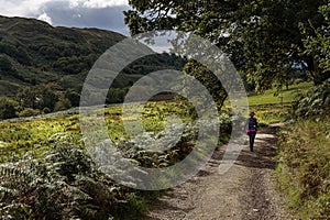 Road to Carnasserie Castle, Lochgilphead, Scotland, United Kingdom