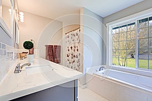 Light filled bathroom interior accented with blue vanity