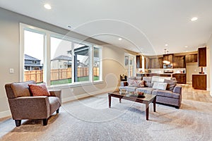 Light filled living room furnished with grey linen sofa