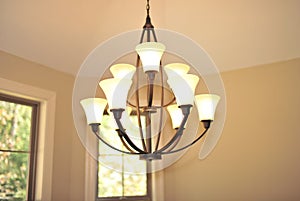 Light Fixture in Dining Room