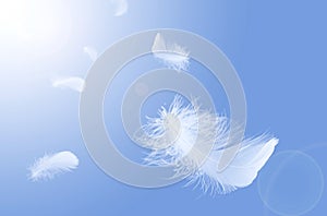 Light fluffy white bird feathers floating in the sky. Feather abstract on blue background