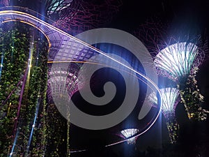 Light of Garden by the bay