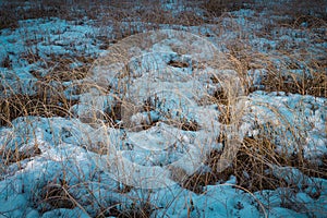 light on the grass of a frozen marsh