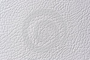 Light Gray Artificial Leather Texture