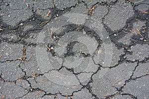 Light gray asphalt with cracks texture for design