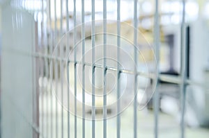 Light gray metal fence. Close-up, selective focus