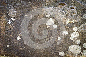 Light gray texture of the stone close-up. Place for text, title