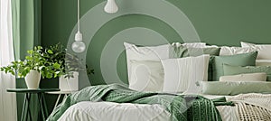Light green bedroom adorned with crisp, clean white and green pillows and blankets