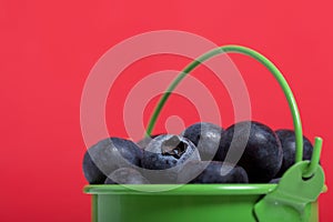 Light green decorative bucket with large blueberries. International day without diets. On a coral background. Close-up