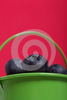 Light green decorative bucket with large blueberries. International day without diets. On a coral background. Close-up