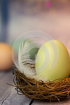 A light green DIY hand painted Easter egg in a nest with a white bird's feather.