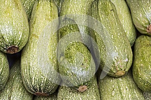 Light green fresh zucchini stacked in a heap shot from above, natural look on a market in Arequipa, Peru