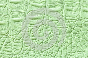 Light green leather texture background, closeup. Reptile skin, macro