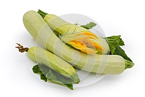 Light green marrows with leaves and flower on white dish