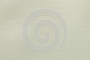 Light green paper textured background