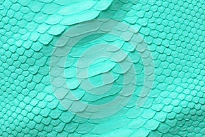 Light green snake skin, natural python texture