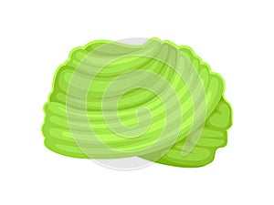 Light green turban. Vector illustration on white background.