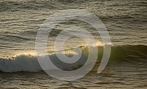 LIGHT ON LIGHT GREEN WATER IN BREAKING WAVE