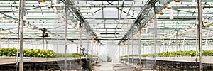 light greenhouse and the production of fruits and vegetables.. Web banner