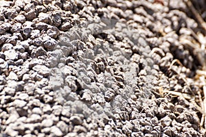 Light grey gravel Pebble floor texture, top view.