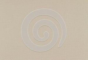 Light grey leather background