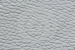 Light grey leather texture for your design.