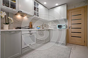 Light grey new modern well designed kitchen interior