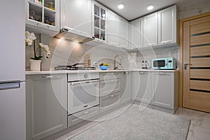 Light grey new modern well designed kitchen interior