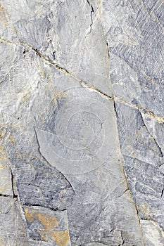 Light grey patterned natural slate with veined texture