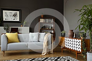 Light grey sofa with blanket and pillows