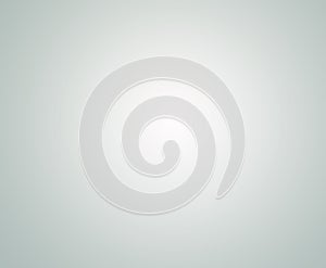 Light and grey white gradient. Greyish background