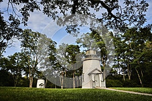 Light house and Tree.