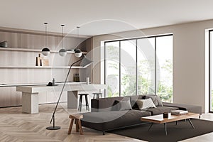 Light kitchen interior with couch and bar chairs, panoramic window