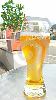 Light large pint glass of beer larger alcohol drink with bubbles photo