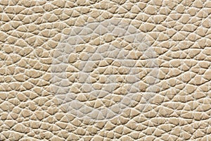 Light leather texture with relief surface.
