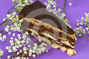 Light marble pound cake with chocolate, cherry and petite white flowers