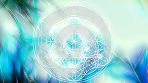 Light merkaba and Flower of life on abstract color background and fractal structure. Sacred geometry.