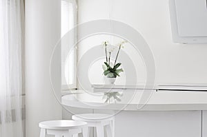Interior modern office. Kitchen interior. White interior home in Finland. White orchid on the table.