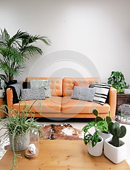 Light modern living room with brown leather couch, cowhide rug and numerous green houseplants creating an urban jungle