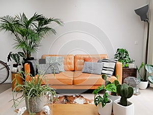 Light modern living room with brown leather couch, cowhide rug and numerous green houseplants creating an urban jungle