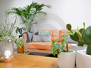 Light modern living room with brown leather couch and numerous green houseplants creating an urban jungle