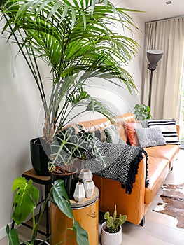 Light modern living room with brown leather couch and numerous green houseplants creating an urban jungle