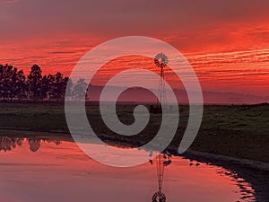 Light morning fog, windmill, pond with red sunrise sky in rural countryside