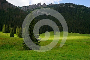 Light in the mountain valley. Natural summer landscape