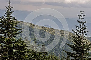 Light on the mountains of the Smokies.